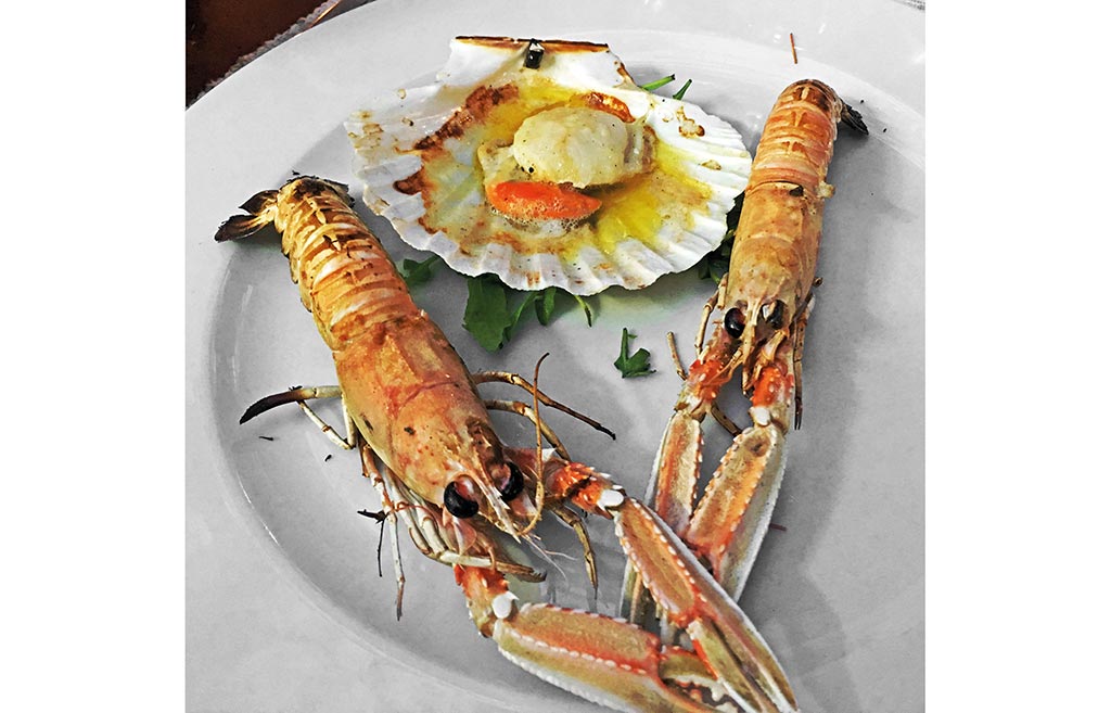 Scampi mit Jacobsmuschel