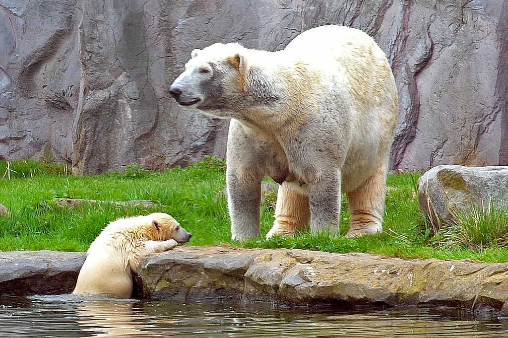 Hier geht es auch nicht…